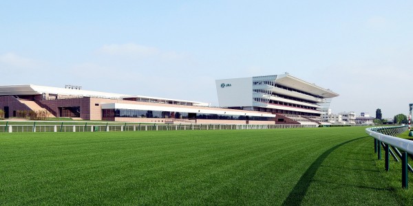 札幌競馬場